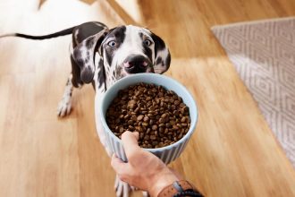 what-is-limited-ingredient-dog-food?-a-complete-guide-for-pet-owners