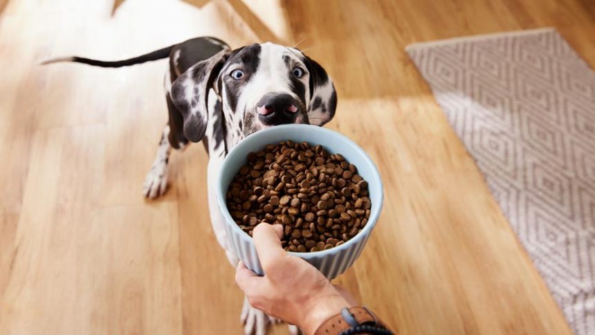 what-is-limited-ingredient-dog-food?-a-complete-guide-for-pet-owners
