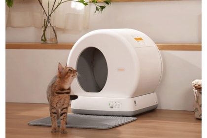 how-to-maintain-your-automatic-litter-box-effortlessly