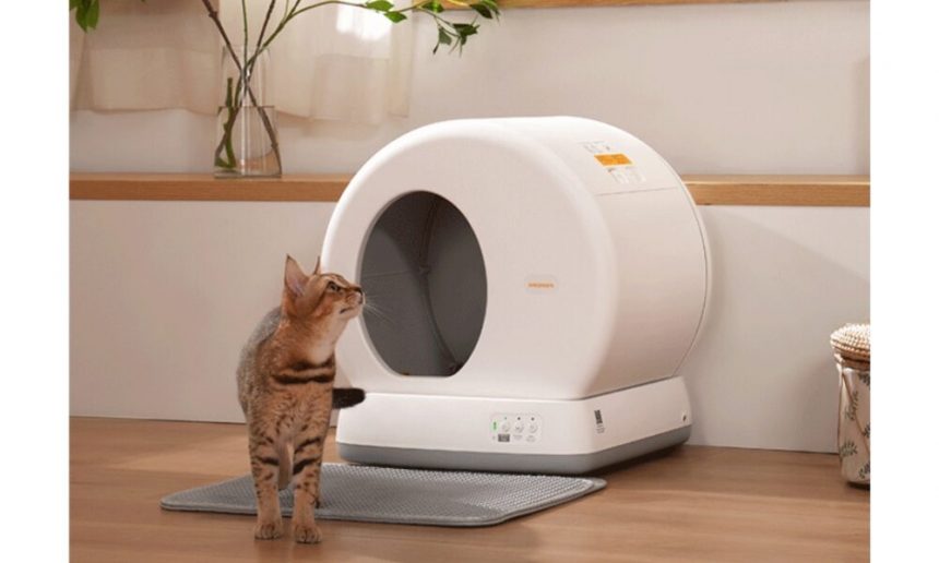 how-to-maintain-your-automatic-litter-box-effortlessly